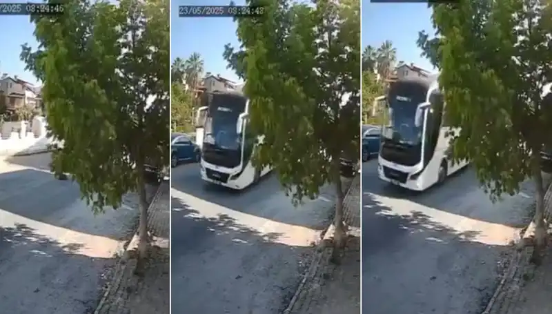 Yolda Yatan Köpeği Ezip Geçen Araç Sahibiyle İlgili Şok Gelişmeler