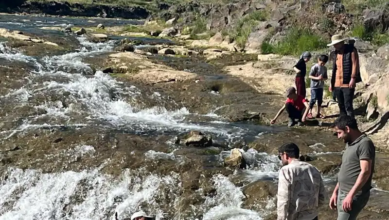 İnci Kefalinin Göç Yolculuğu: Doğanın Mucizesi Hayran Bırakıyor
