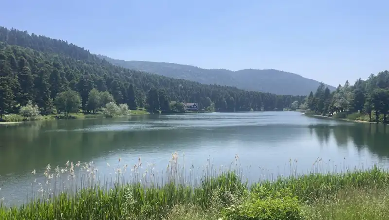 Bolu'nun Milli Parkları: Doğaseverlerin Yeni Gözdesi Oldu!