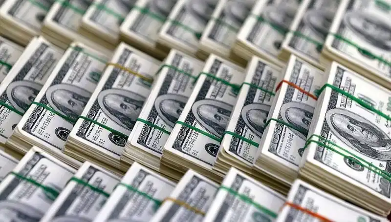 Dolar Yükselişini Sürdürüyor: Ekonomistler Uyarıyor!