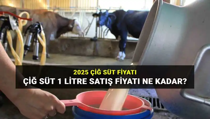 2025’de Çiğ Süt Fiyatı Ne Olacak? Fırsatlar ve Tehlikeler!