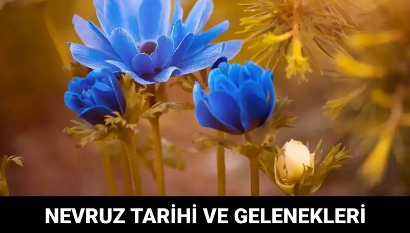 Nevruz Bayramı’nın Derin Anlamı ve Gelenekleri: Ne Zaman Kutlanıyor?