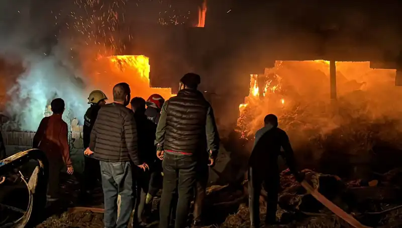 Bolu'da Feci Ahır Yangını: Hayvanlar ve Aletler Kül Oldu