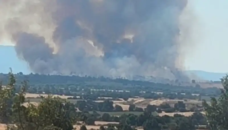 Edirne'de Orman Yangını: Dumanlar Şehri Sardı, Halk Endişe İçinde