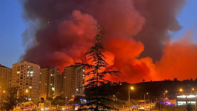 Bursa'da Yangınlar, Şehri Tehdit Ediyor: Acil Önlemler Alınmalı