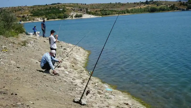Kafeslerde Patlayan Gizem: Baraja Koşan Kalabalığın Sebebi Ne?
