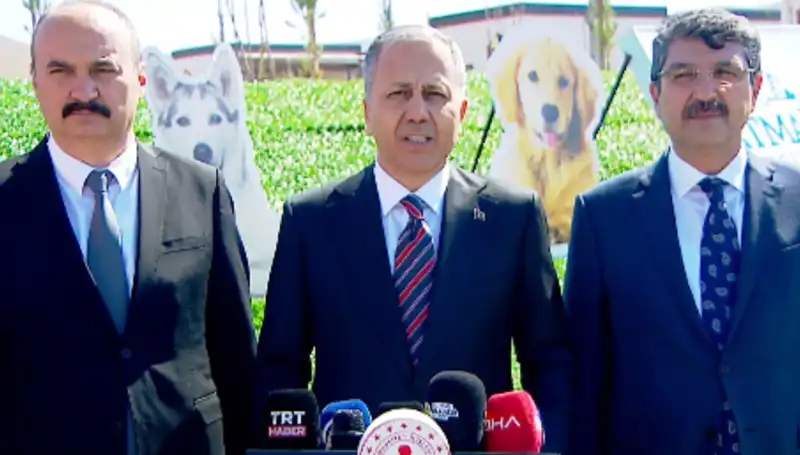 Türkiye'de Sokak Köpekleri Tartışması: İçişleri Bakanlığı’nın 81 İle Gönderdiği Müfettişlerin Amaçları Neler?