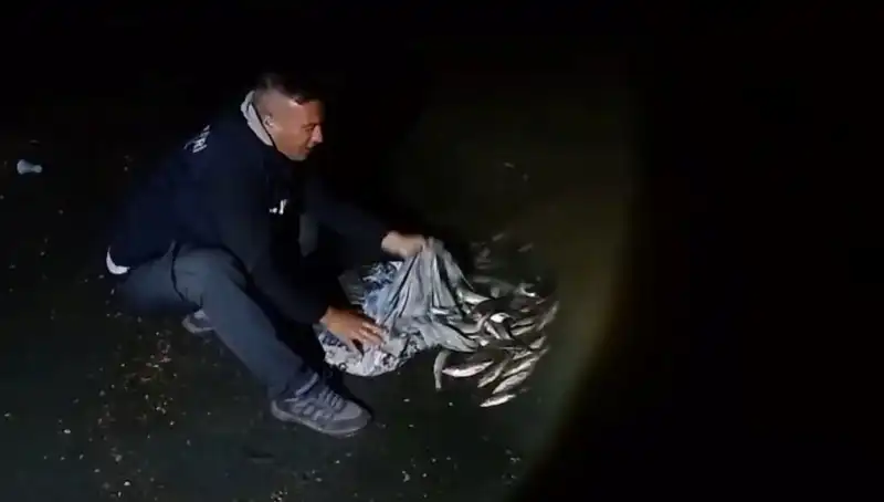 ** Bir Ton İçi Kefali Yakalandı! Avcılıkla İlgili Yasal Mücadeleler Neler?**