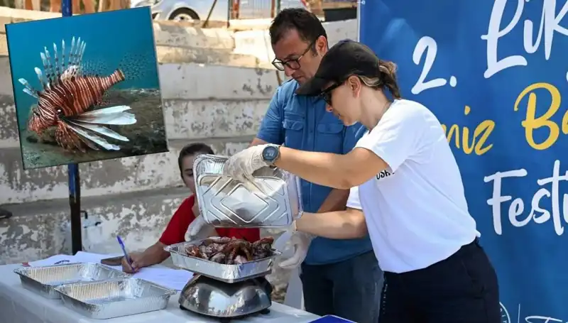 Antalya'da İstilacı Aslan Balığı İçin Renkli Av Yarışması Düzenlendi
