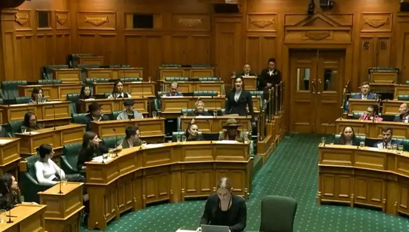 Meclisteki Haka Dansı Krizine Politik İtirazlar ve Uzaklaştırma Cezası!