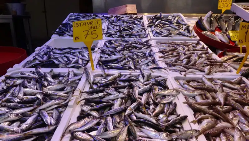 Balık Sezonu Sonunda Tutkuya Dönüşüyor: Off Sezon Hazırlıkları