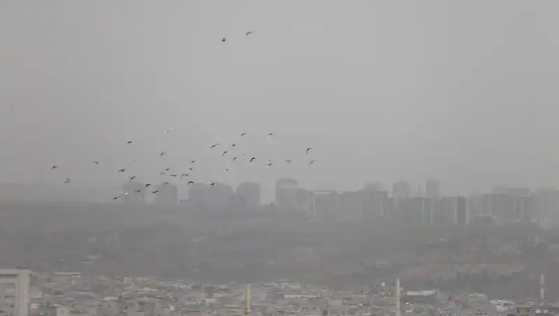 Şanlıurfa'da Toz Bulutu Etkisi: Görüş Mesafesi Alarm Veriyor!
