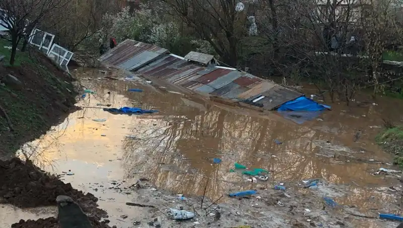 Bingöl'de Sağanak Yağış: Ahırlar Sular Altında Kaldı, Hayvanlar Tehlikede