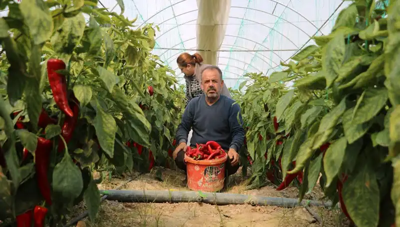 Fiyatı 50 Lira Olan Ürün 80 TL'ye Satılıyor: Yaşanan Fark Neden?