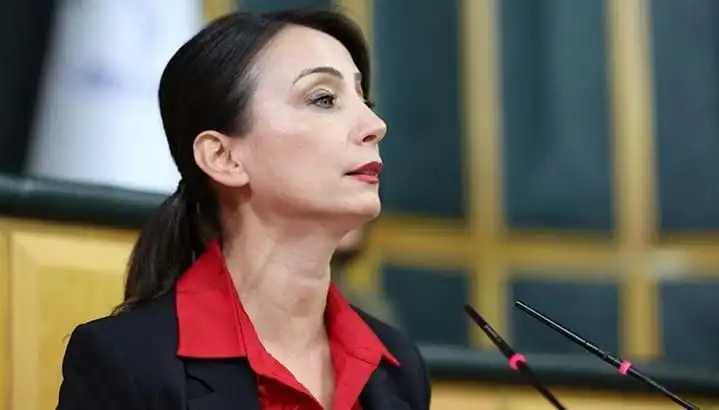 Öcalan'ın Silah Bırakma Çağrısı: DEM Parti, Siyasi Turuna Başlıyor!