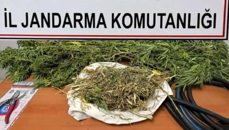 Niğde'de Uyuşturucu Operasyonu: Çok Sayıda Gözaltı ve Yakalanan Malzeme