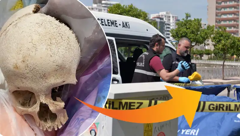 Sitenin Çöpünden Çıkan Kafatasının Gizemi ve Üzerindeki İhtiyaç Duyulan Açıklama
