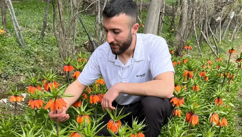 Ağlayan Gelin: 20 Günlük Ömrü ve Koparma Cezası 244 Bin Lira