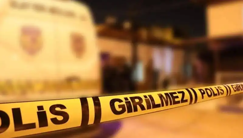 Diyarbakır'da Kayınpederin Dehşeti: Korkunç Olayın Detayları