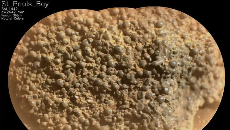 Mars’ta Gizemli “Örümcek Yumurtaları” Keşfedildi: Bilim Dünyasında Şok Etkisi