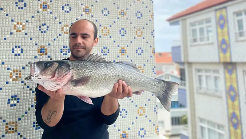 Türkiye'de 7.5 Kiloluk Dev Levrek Yakalayan Avcı İnanılmaz Anlar Yaşadı