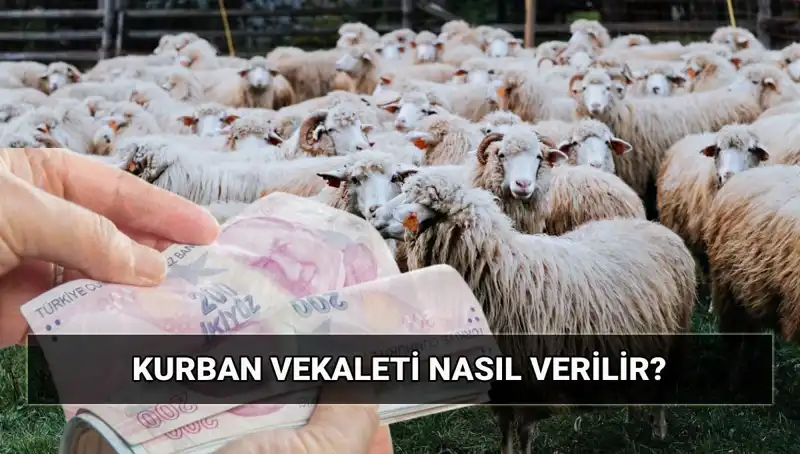 Vekaletle Kurban Kesimi: 2025 Yılında Uygulamalar ve Süreçler