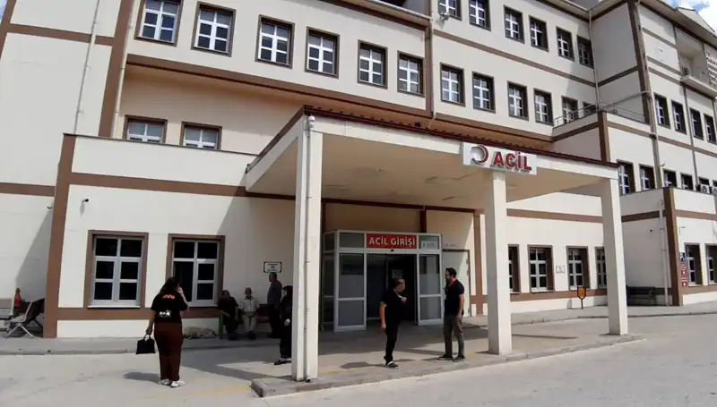 Bolu'da Ayı Avı: Doğa Koruma mı, Kontrol Mü?