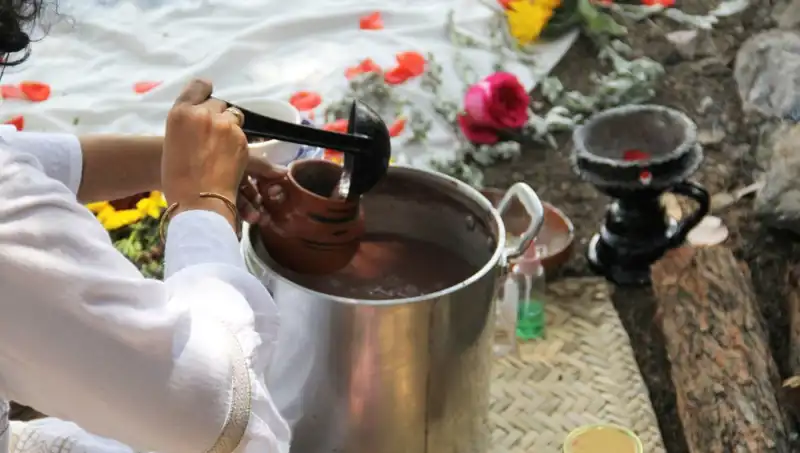 Ayahuasca: Spiritüel Yolculuğun Kapılarını Aralayan Gizemli İçecek