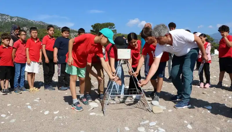 Kemer'de Caretta Caretta Yasağı Neden Geldi? İşte Tüm Detaylar!