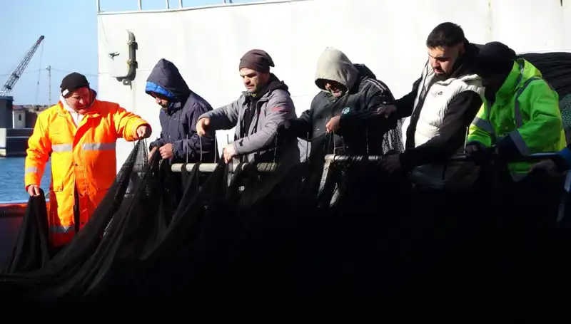 Denizlerde Hamsi Avı Sonlanıyor: Balıkçılar Erken Paydos Mu Ediyor?