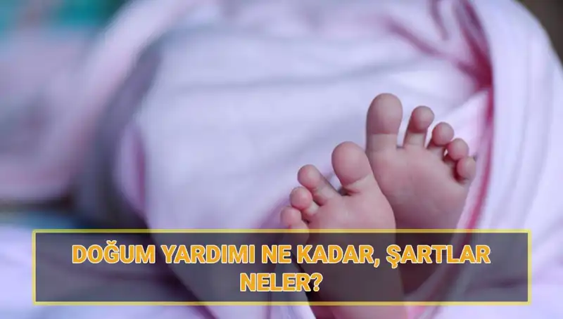 2025 Doğum Yardımı Başvuruları Başladı! Çocuk Parası Ne Kadar Olacak?