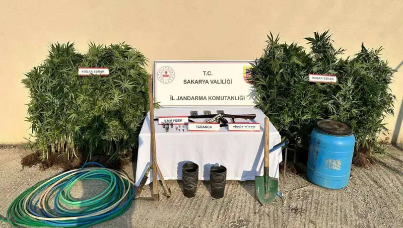 Sakarya’da Uyuşturucu Operasyonu: 1 Kişi Tutuklandı, Detaylar Şok Edici