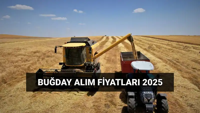 Hububat alım ücretleri 2025'ti! TMO fiyatları ne durumda?