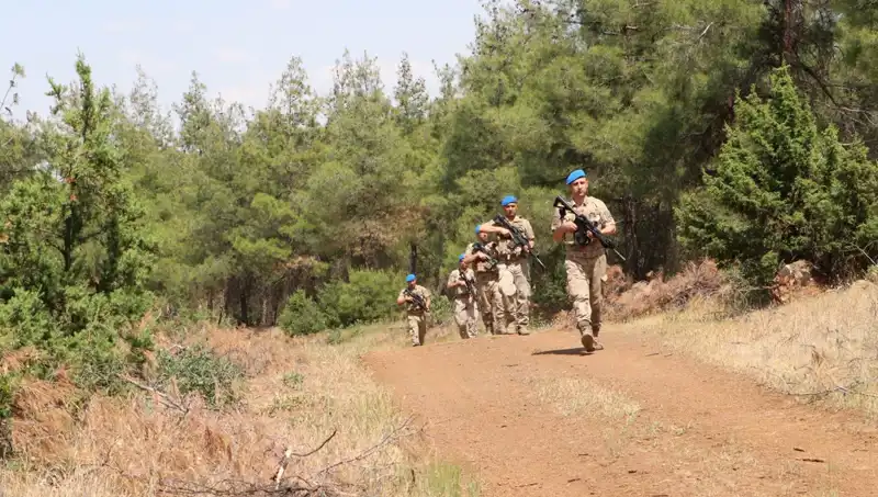 Kilis'te Orman Yangınlarına Karşı Sıkı Denetim: Önlemler ve Gelişmeler