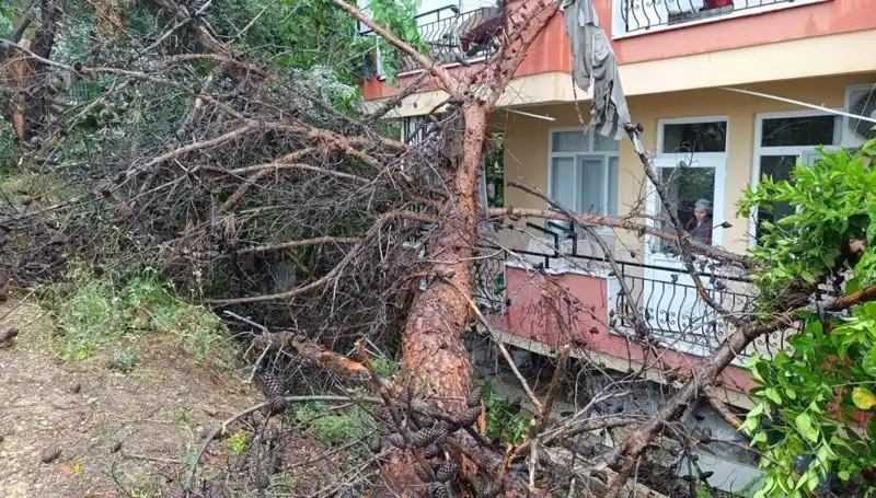 Şiddetli Yağmur Sonrası Bina Çöktü: Yerleşim Yerlerinde Panik