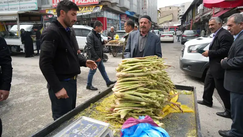 Dağlık Alanlardan Toplanan Şeker: Sağlığınıza Faydaları ve Pazardaki Yeri
