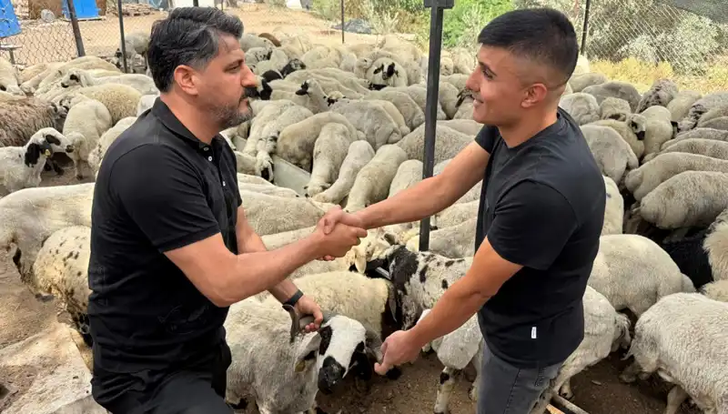 Kurbanlık Koyun Alırken Dikkat Edin: Tuz ve Sumak Tehlikesi!