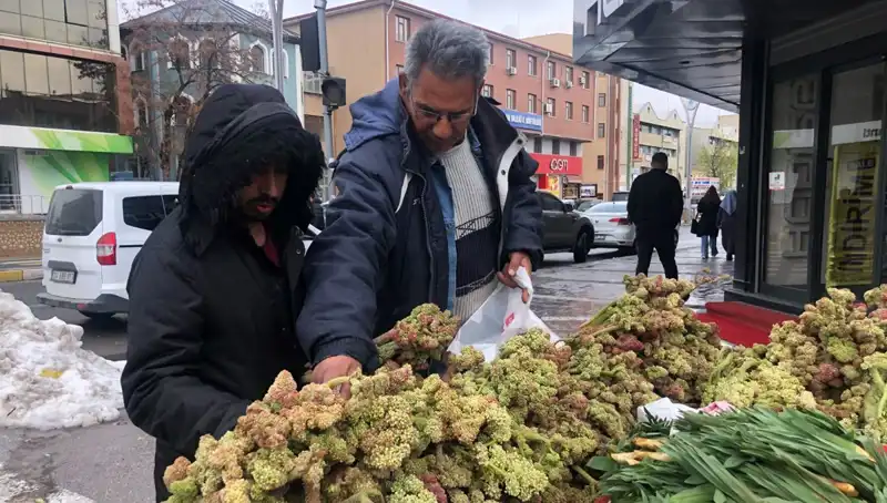Kanserle Savaşta Yeni Umut: Kendiliğinden Yetişen Vitamin Deposunun Faydaları