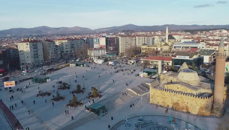 Kırşehir’de Bilim Dünyasını Şaşırtan Yeni Böcek Türü Keşfedildi