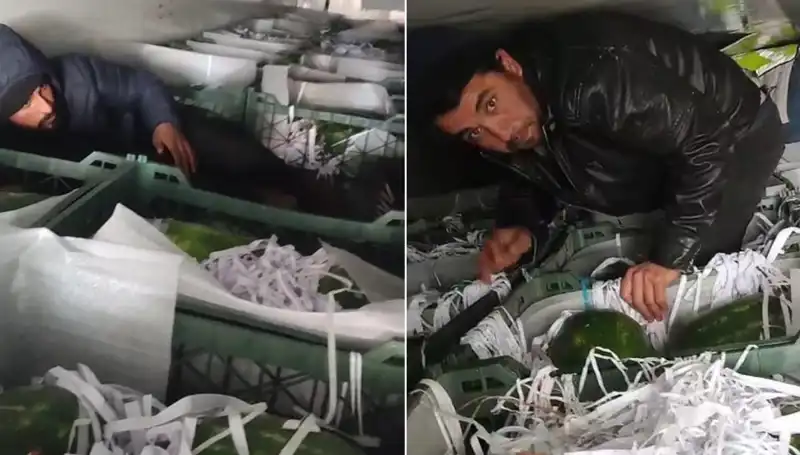 Karpuzların Arasından Göçmenler Çıktı: Sıra Dışı Bir Kaçış Hikayesi